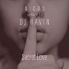 Secret Love (Ravin Remix) - Single