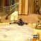 F.W.Y. (feat. YoungFlyq) - Handsome Jimmy Jr lyrics