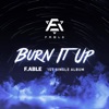 Burn it up - Single, 2020