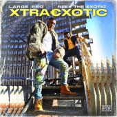 Xtraexotic (feat. Large Pro)