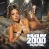 Flow 2000 - Single album lyrics, reviews, download