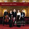 Beethoven's Celtic Voice album lyrics, reviews, download