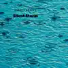 Silent Storm song lyrics