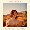 Land of the Free - Single