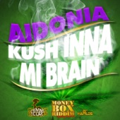 Kush Inna Mi Brain artwork