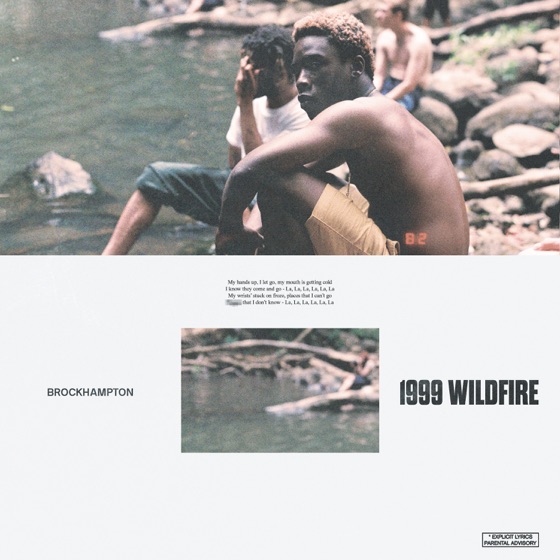 Cover artwork for 1999 WILDFIRE