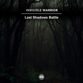 Last Shadows Battle artwork