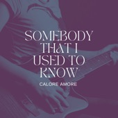 Somebody That I Used to Know artwork