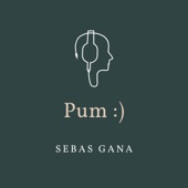 Pum artwork