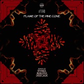 Flame of the Pine Cone (Spaniol's Blue Note Remix) artwork