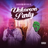 Unknown Party (UnknownVibes) artwork