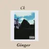 Ginger (feat. Dj Aroma & Malai) - Single album lyrics, reviews, download