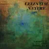 Celestial Nature - A Journey to Greet Nature, Vol. 4 album lyrics, reviews, download