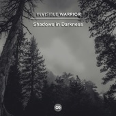 Shadows in Darkness artwork
