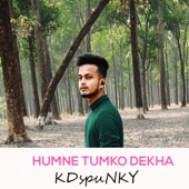 Humne Tumko Dekha artwork