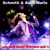 Lass mich diesen Wahnsinn spür'n (Jan Zimmermann Party Mix) [feat. Anna Maria] - EP