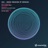 Mood Medicine (Paul Kardos Remix) artwork