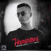 Hamintori (feat. Anita) artwork