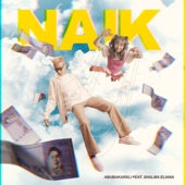 NAIK (feat. Shalma Eliana) artwork