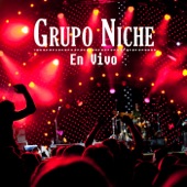 Grupo Niche (En Vivo) artwork