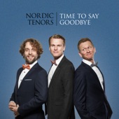 Time to Say Goodbye artwork