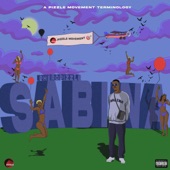 Sabina (feat. Pheropizzle) artwork