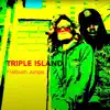 Flatbush Jungle (feat. Triple Island) - Single album lyrics, reviews, download