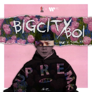 Bigcityboi (feat. Touliver) - Single
