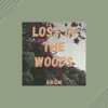 Lost In the Woods (feat. Lofi Chillhop) - Single album lyrics, reviews, download
