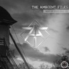 The Ambient Files (Mixed by Stars Over Foy), 2018