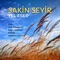 Dalgalı Haller (feat. Çağrı Çetinsel) - Sakin Seyir lyrics