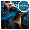 Undiscovered Underground, Vol. 10 album lyrics, reviews, download