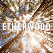 Etherwood - The Time Is Here At Last