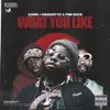 What You Like (feat. PnB Rock & MadeinTYO) song lyrics