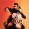 Bach: Cello Suite No. 1 in G Major, BWV 1007: I. Prélude - NIGHT SESSIONS - Single