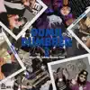 Dum N Dumbber 3 album lyrics, reviews, download