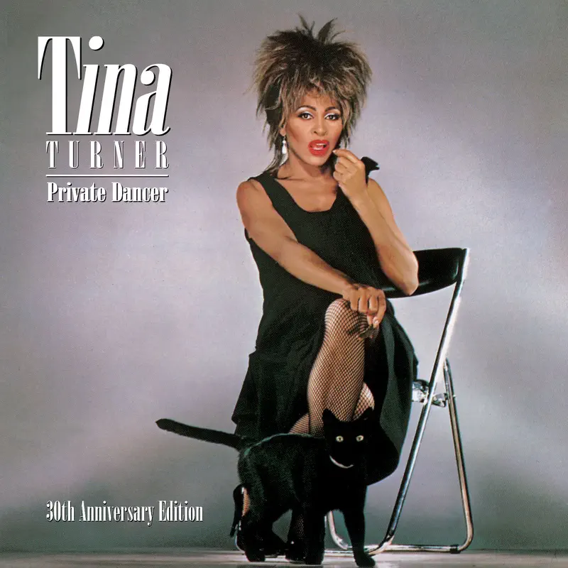 Tina Turner - Private Dancer (30th Anniversary Edition) [Remastered] (2015) [iTunes Plus AAC M4A]-新房子