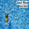 Just Nice - Single album lyrics, reviews, download