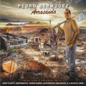 Repartiendo Fuete (feat. Bobby Valentin, Ralph Irrizary & Frankie Vazquez) artwork