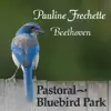 Pastoral: Bluebird Park - Single album lyrics, reviews, download