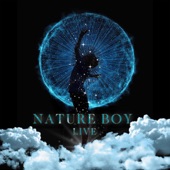 Nature Boy (Live) artwork