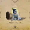 Stream & download Radhe Shyam