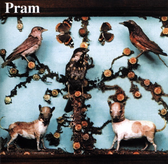 Cover artwork for Mother of Pearl