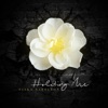 Holding Me - Single