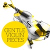 Thomas Zehetmair, Amsterdam Bach Soloists & Henk Rubingh - Violin Concerto in C Major, Hob. VIIa:1: II. Adagio