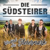 Wir sind die Steiermark artwork