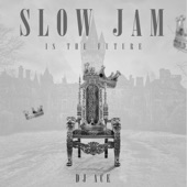 Slow Jam Is the Future (Instrumental) artwork