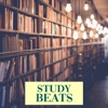 Study Beats, Vol. 1