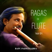 Ragas On Flute, Vol. 1 artwork