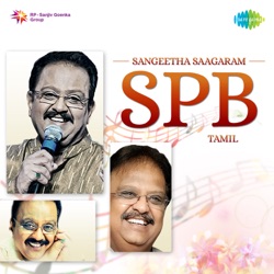 R. D. Burman & S. P. Balasubrahmanyam - Sorgam Madhuvile (From "Sattam En Kaiyil")